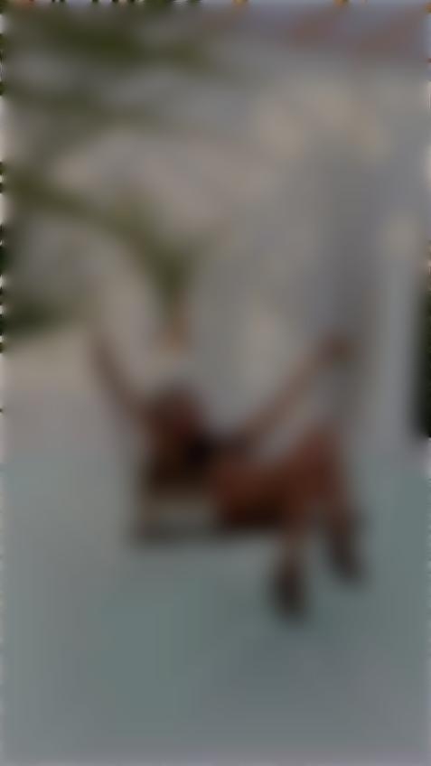 Tori Zaporizhia 36 y.o. - intelligent lady - small public photo.